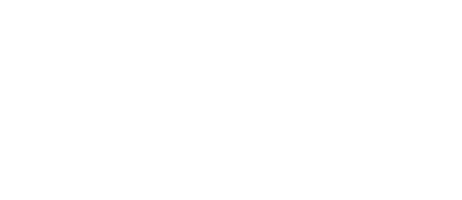 Stadin AO